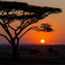 Jan-Milde-Africke-naj