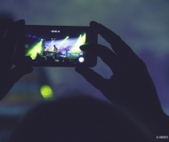 fallgrapp (8)