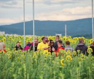 Pohoda 2022 piatok 82