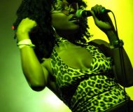 IMG_7582
