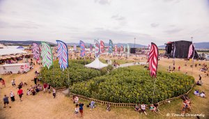 2_piatok_pohoda_2016 (29)