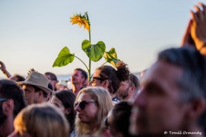 3_sobota_pohoda_2016 (58)