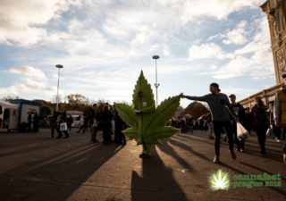 Cannafest číslo 7 bude najväčší vo svojej histórii BOMBING 1