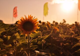 BAŽANT POHODA 2011 je za nami - opäť bola skvelá BOMBING