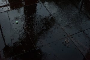 810_4691