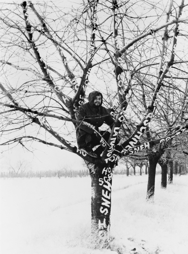 Dezider Tóth, Sneh na strome, 1970