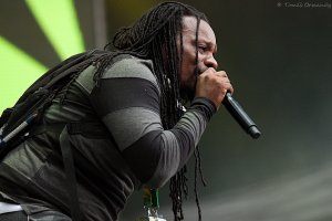 IMG_5952