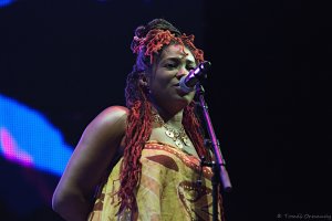 IMG_6246
