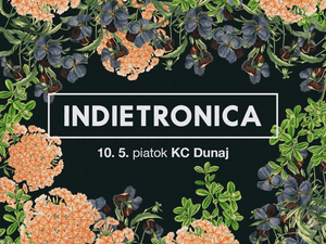 Indietronica 10 5 1008