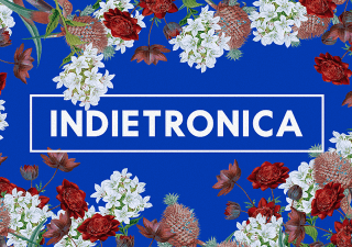 Indietronica 15 2 FB 1920