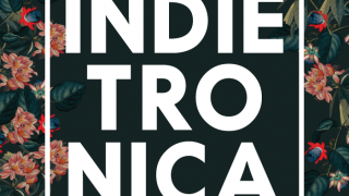 Indietronica 7 12 poster 3