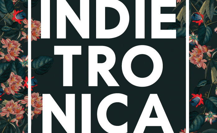 Indietronica 7 12 poster 3