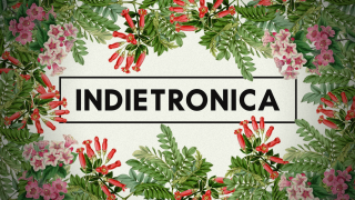 Indietronica 7 6 1920