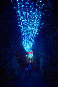 Otvorenie festivalu Sziget bolo famózne BOMBING 51