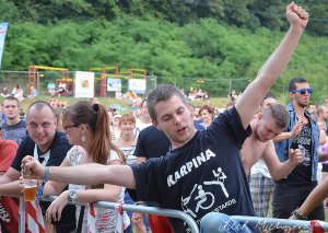 Zakovic 2016 (15)
