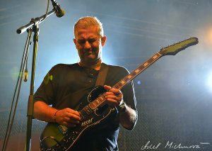 Zakovic 2016 (91)
