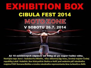 CIBULAFEST 2013 – ČESKO-SLOVENSKÝ FESTIVAL BOMBING 2