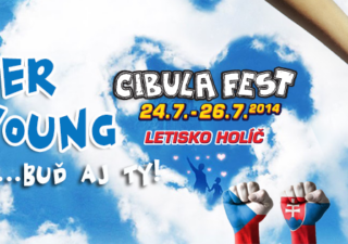 CIBULAFEST 2013 – ČESKO-SLOVENSKÝ FESTIVAL BOMBING 4