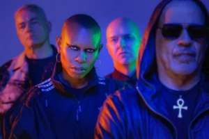 coo26 skunk anansie