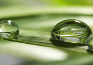 ZELENÉ RIEŠENIA BAŽANT POHODY BOMBING